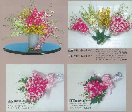 輸入蘭販売開始