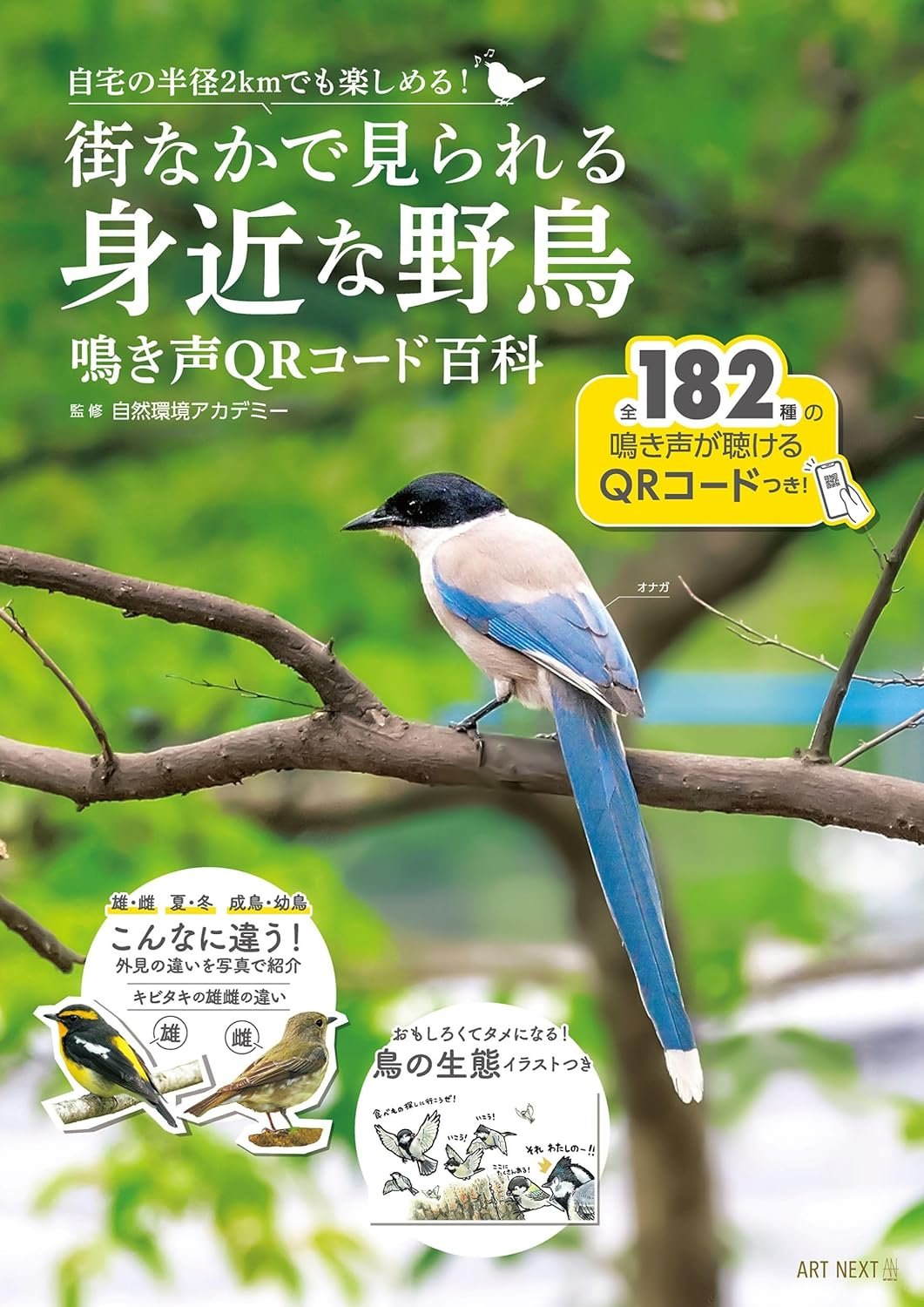 BIRDER 10月号 本日発売！ 特集は「鳥の分類学入門」です